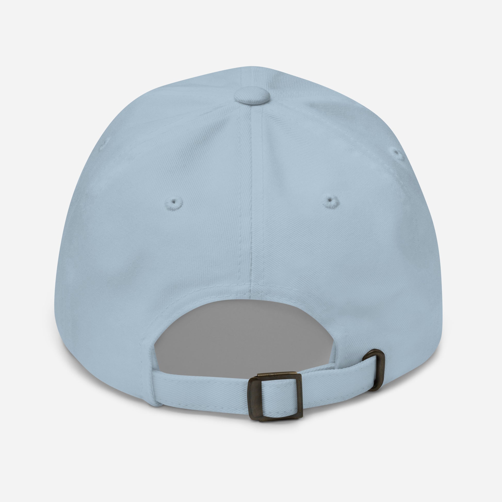 the plain light blue back of a cap